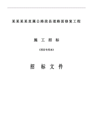 xx丽水直属公路段县道路面修复工程施工招标《项目专用本》招标文件(83).doc