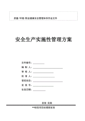 某项目总体安全施工组织设计.doc