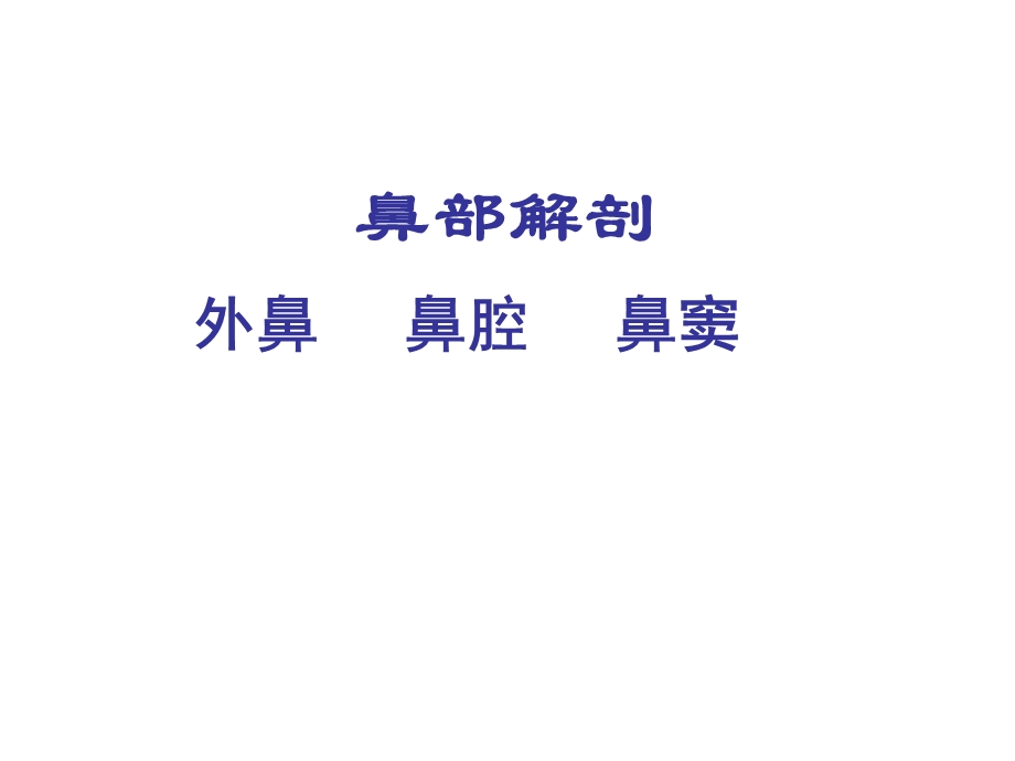 鼻部解剖.ppt.ppt_第2页