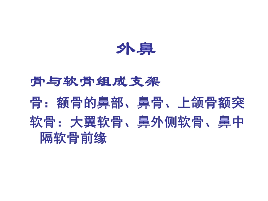 鼻部解剖.ppt.ppt_第3页