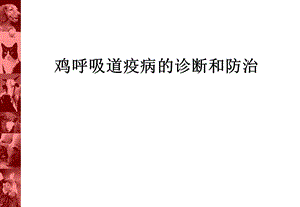 鸡呼吸道疫病的诊断和防治.ppt