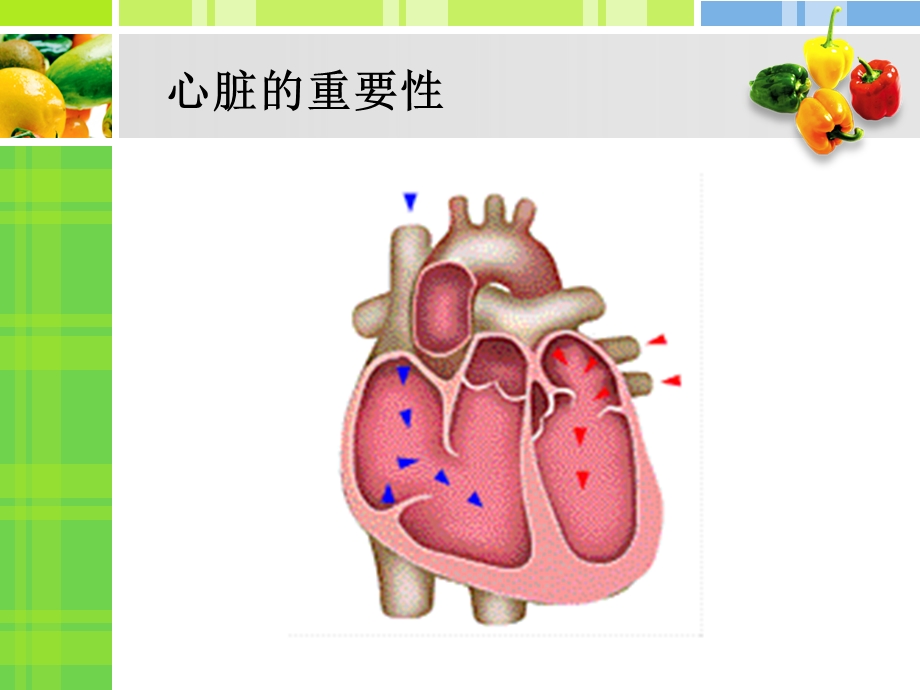 高血压防治及合理用药.ppt_第2页