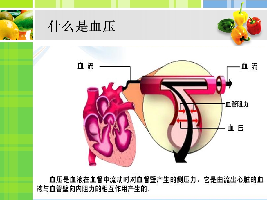 高血压防治及合理用药.ppt_第3页