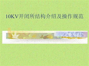 10KV开闭所结构及操作规范.ppt