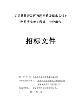 广东某道路照明完善工程施工专业承包招标文件.doc