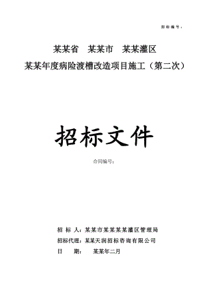 湖南某病险渡槽改造项目施工招标文件.doc