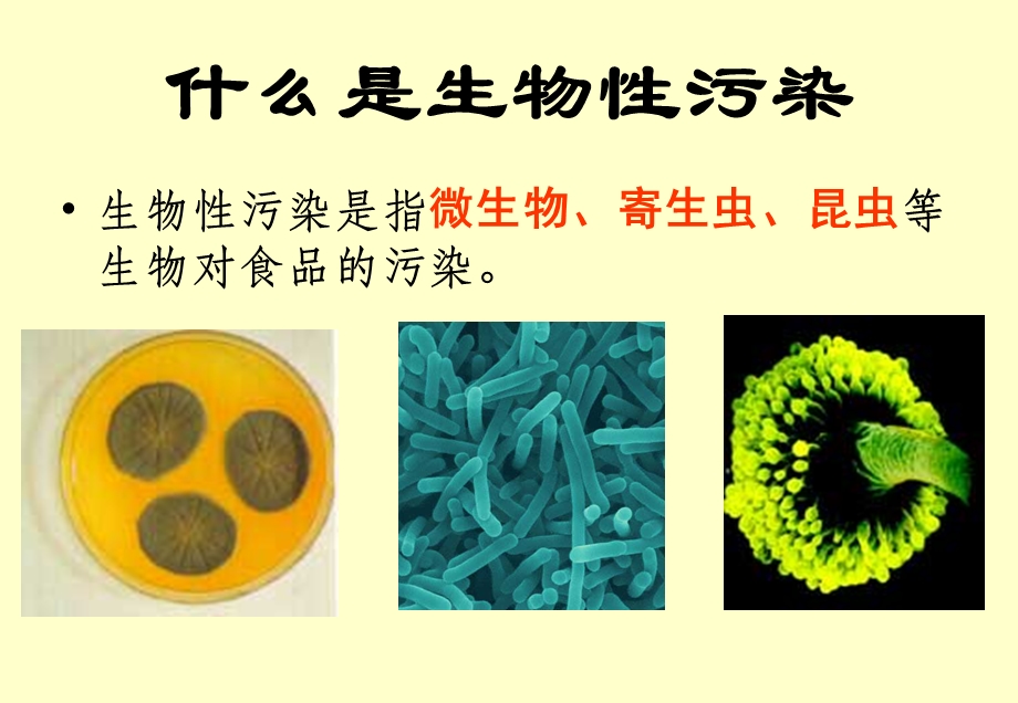 《食品质量与安全》课件 第三章 生物性污染对食品安全的影响（158P）.ppt_第2页