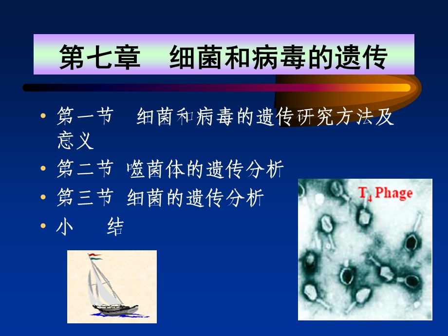 《遗传学》07.细菌和病毒的遗传(55P).ppt_第1页