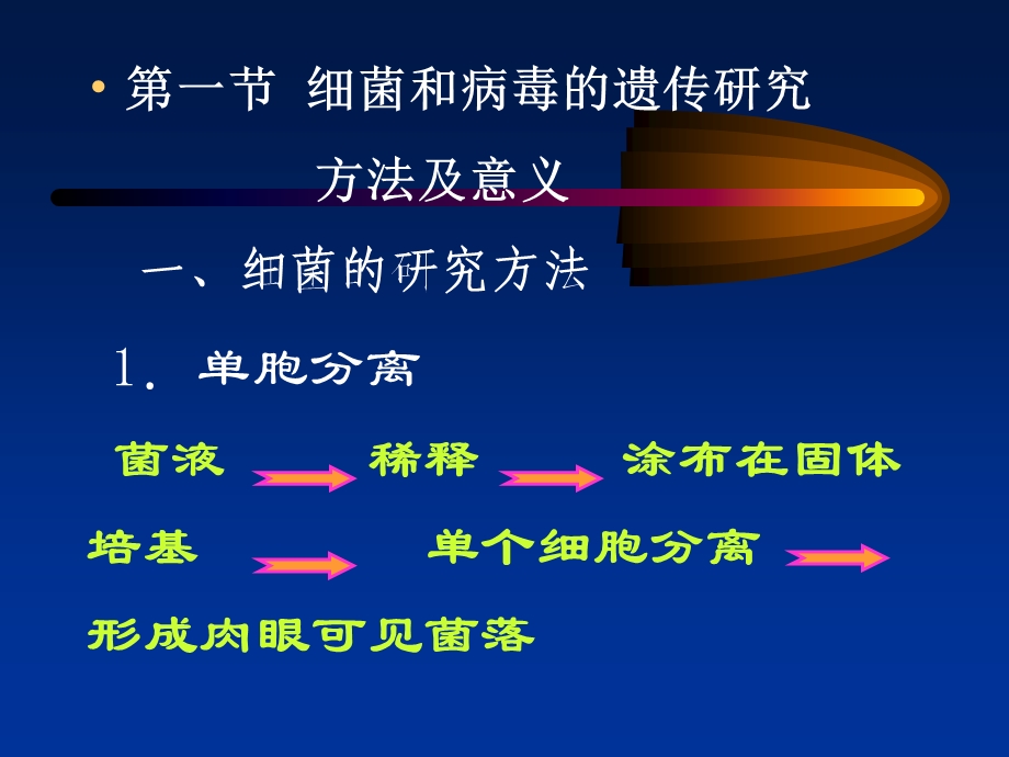 《遗传学》07.细菌和病毒的遗传(55P).ppt_第3页