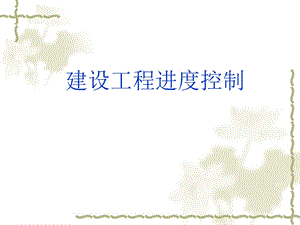 监理进度控制讲义.ppt