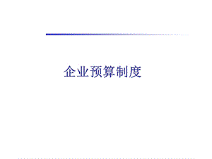 企业预算制度.ppt