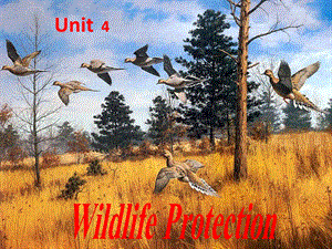 人教版高中英语课件：Unit 4 Wildlife Protection　.ppt