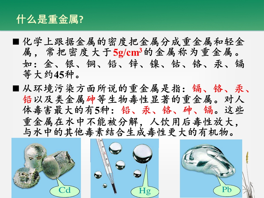 5.5重金属污染植物修复【ppt】 .ppt_第2页