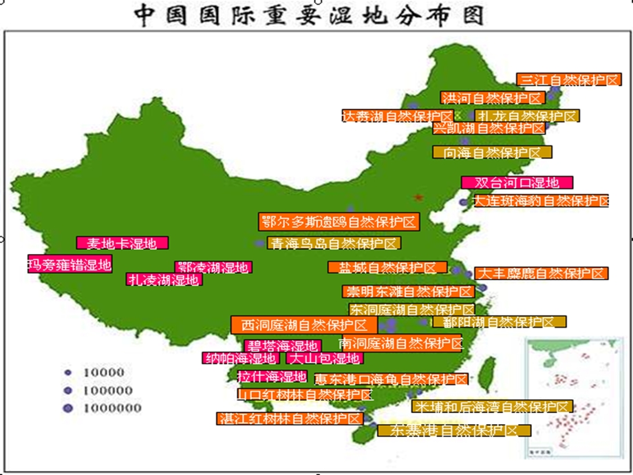 人工湿地设计PPT.ppt_第2页