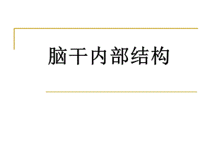 28.脑干内部结构.ppt