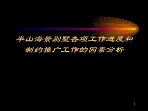 半山海景别墅策划方案.ppt