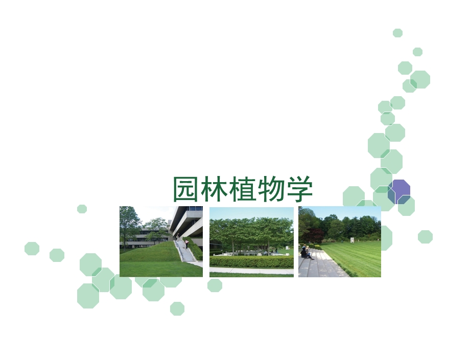 园林植物基础.ppt_第1页