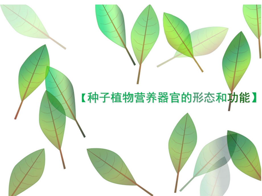 园林植物基础.ppt_第2页