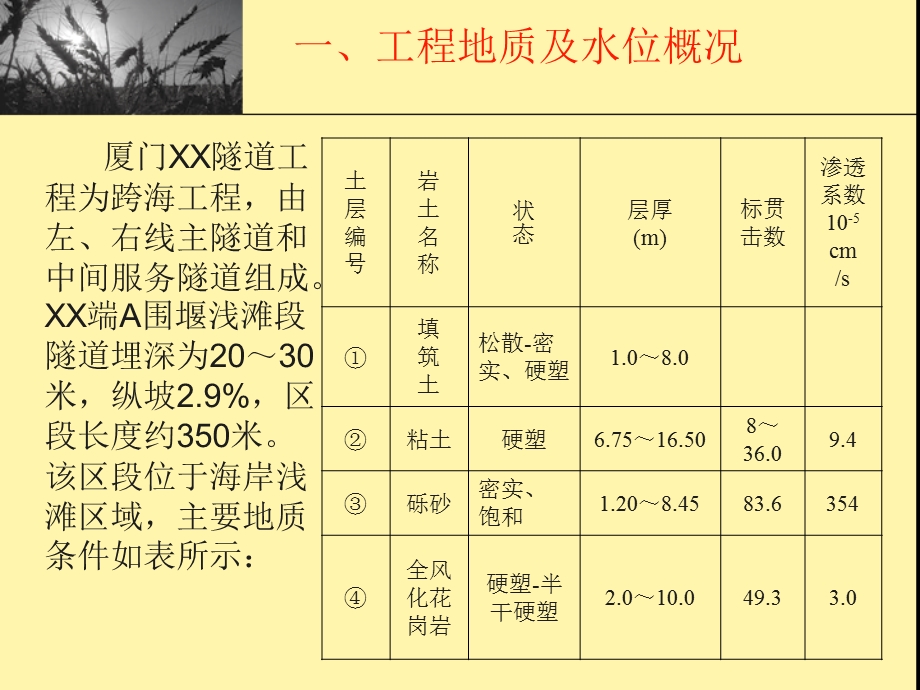 地下连续墙施工技术总结.ppt_第2页