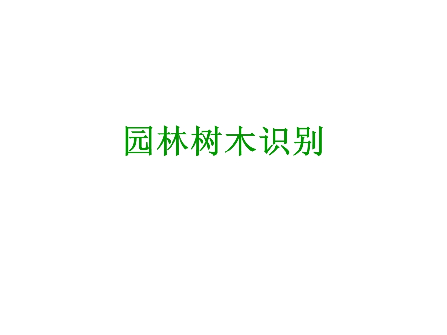 园林树木识别稿.ppt_第1页