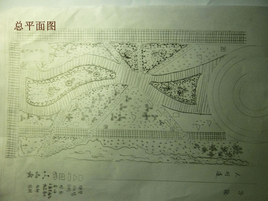 城市广场绿地调研报告.ppt_第2页