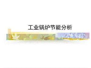 工业锅炉节能分析.ppt