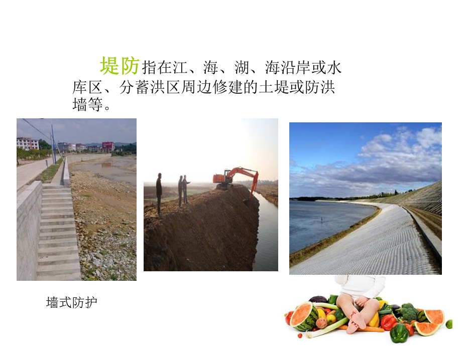 堤防除险加固技术(PPT).ppt_第2页