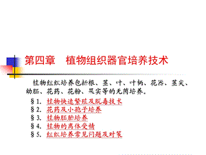 植物组织器官培养技术.ppt