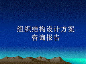 组织结设计方案.ppt