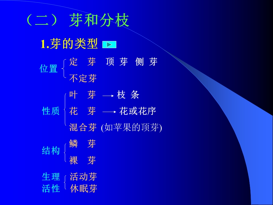 第四章茎的形态结构与建成过程.ppt_第2页