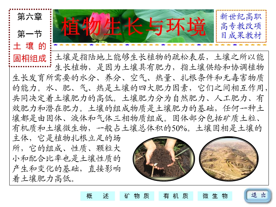 第六章植物生长与土壤环境.ppt_第3页