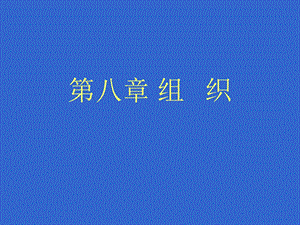 管理学ppt——组织.ppt