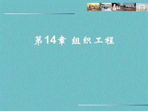 第 14 章 组织工程.ppt