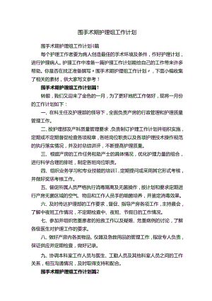 围手术期护理组工作计划.docx