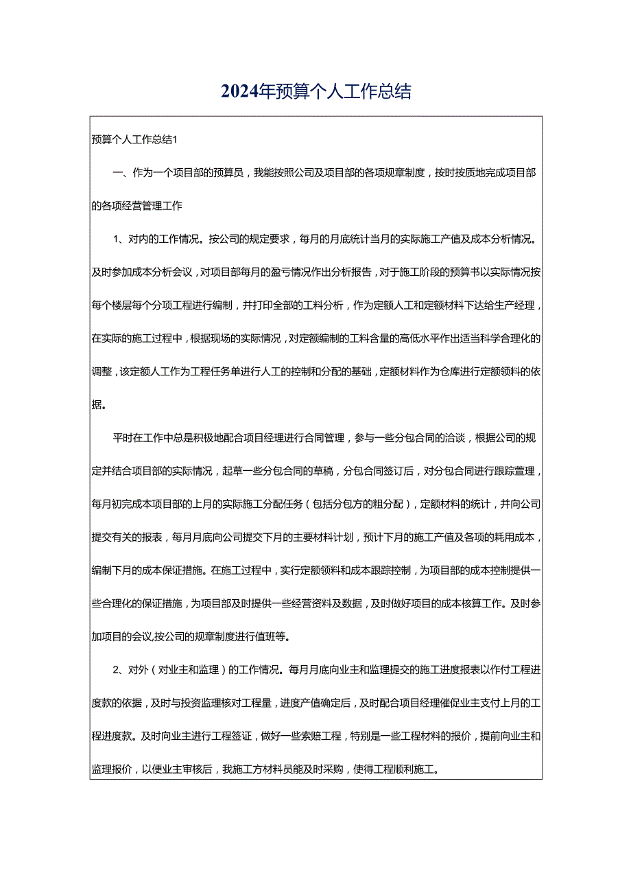 2024年预算个人工作总结.docx_第1页