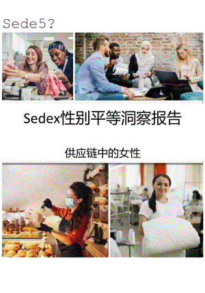 【女性市场报告】2023性别平等洞察报告：供应链中的女性-Sedex-202310.docx