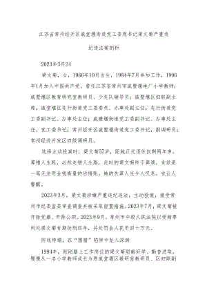 江苏省常州经开区戚墅堰街道党工委原书记梁文菊严重违纪违法案剖析.docx