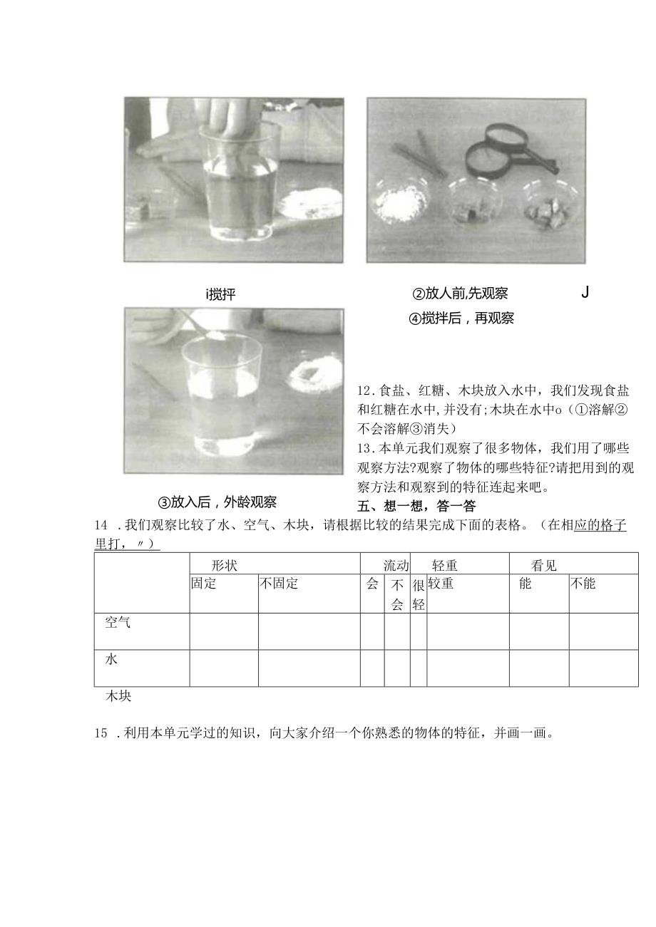 2024教科版小学科学一年级下学期期中测试卷附部分答案（三套）.docx_第3页