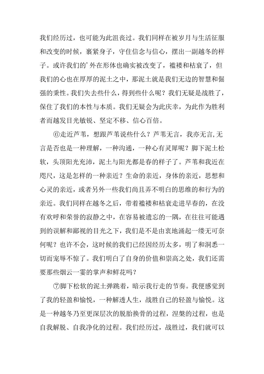 《走近芦苇》原文.docx_第2页