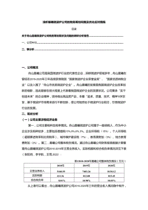 【《浅析晨曦微波炉公司的税务筹划问题及优化应对措施》论文3900字】.docx