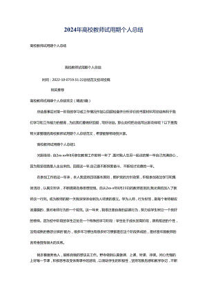 2024年高校教师试用期个人总结.docx