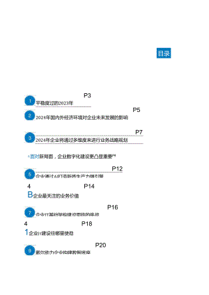 2024数字化建设重点与趋势调研报告.docx