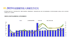 2024餐饮行业市场简析报告.docx