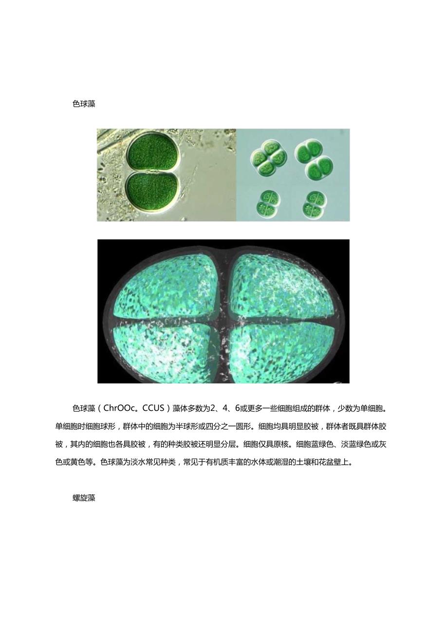 水产养殖藻、菌图谱.docx_第3页