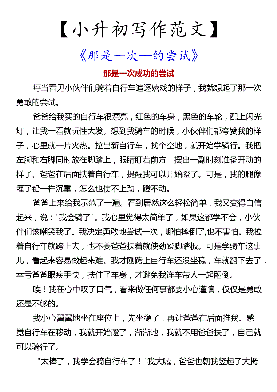 【小升初写作范文】 《那是一次___的尝试》.docx_第1页