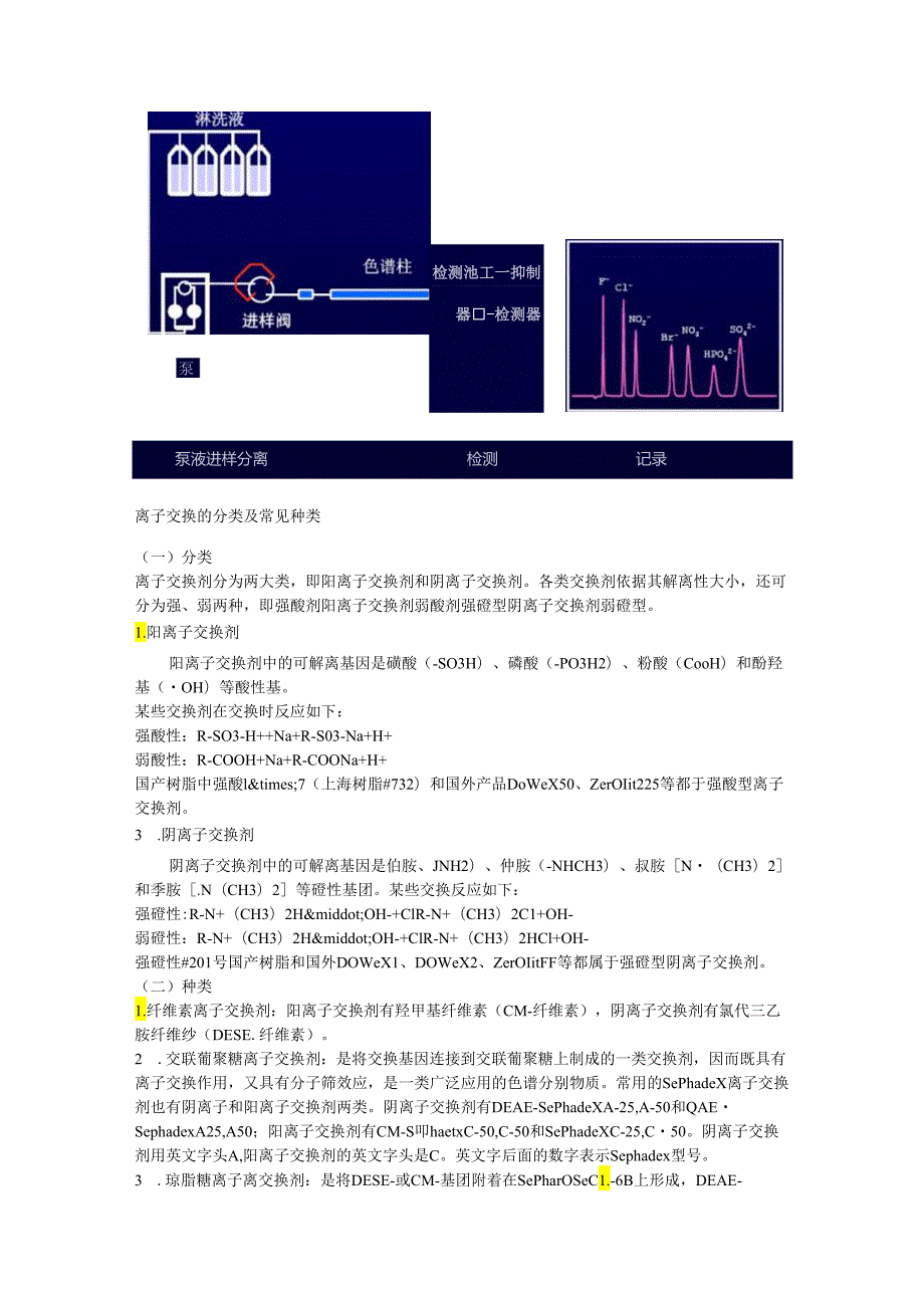 -淀粉酶的提取要点.docx_第3页