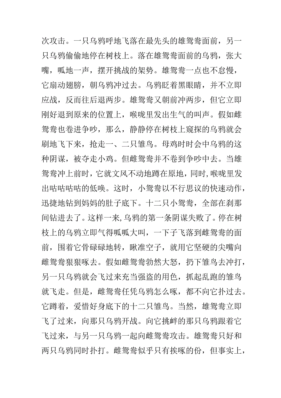 0-3岁宝宝睡前故事之民间传说两篇.docx_第3页