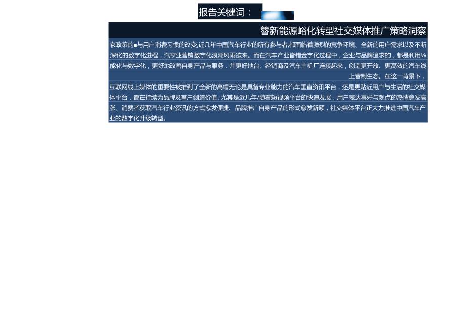 2024新能源汽车社交媒体推广策略洞察.docx_第2页