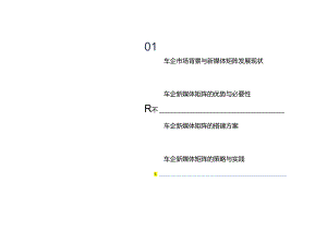 2024车企新媒体矩阵研究报告.docx