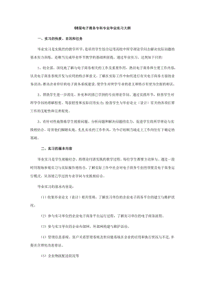 08届电子商务专科专业毕业实习大纲.docx